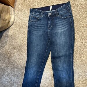 Jag Jeans Blue Skinny Denim Classic